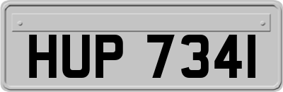 HUP7341