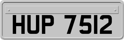 HUP7512