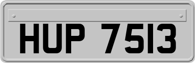 HUP7513