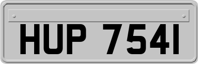 HUP7541