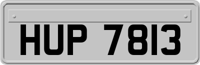 HUP7813