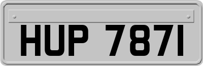 HUP7871