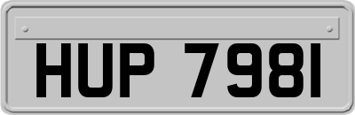 HUP7981