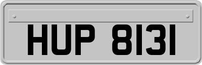 HUP8131