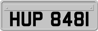 HUP8481