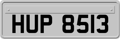 HUP8513