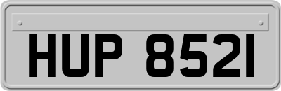 HUP8521