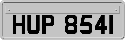 HUP8541