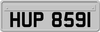 HUP8591