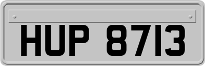 HUP8713