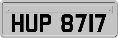 HUP8717