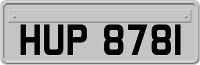 HUP8781