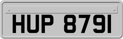 HUP8791