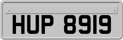 HUP8919
