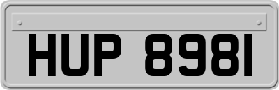 HUP8981