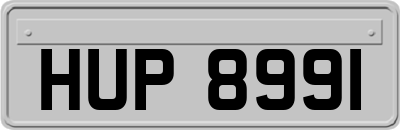 HUP8991