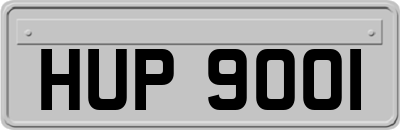 HUP9001