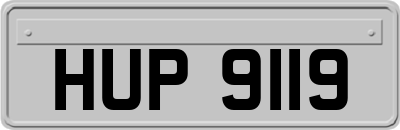 HUP9119