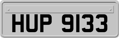 HUP9133