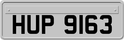 HUP9163