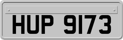 HUP9173