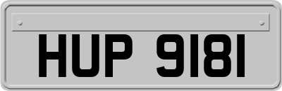 HUP9181