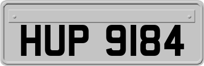 HUP9184