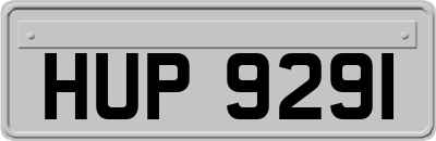 HUP9291