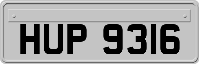 HUP9316