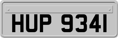HUP9341