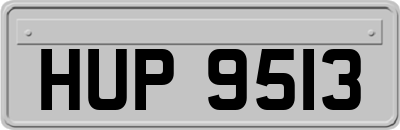 HUP9513