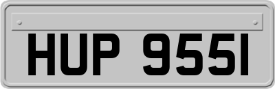 HUP9551