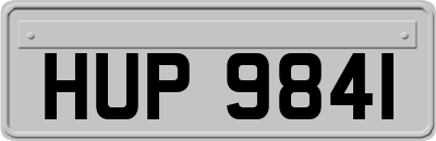 HUP9841