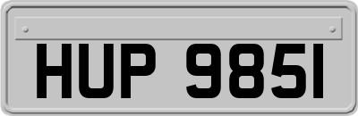 HUP9851
