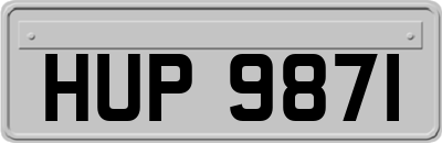 HUP9871