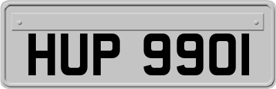 HUP9901