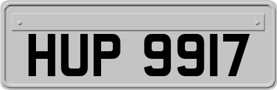 HUP9917