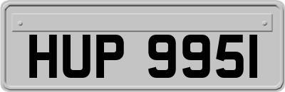 HUP9951