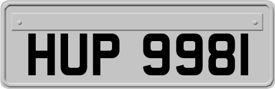 HUP9981