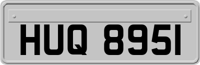 HUQ8951