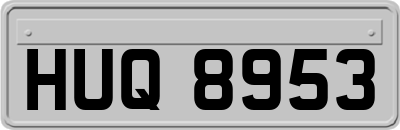 HUQ8953