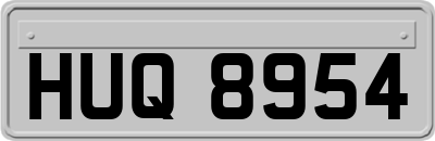 HUQ8954