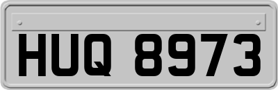 HUQ8973