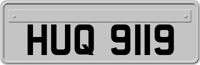 HUQ9119