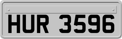 HUR3596