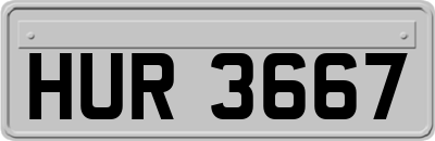 HUR3667