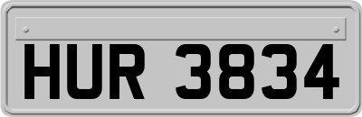 HUR3834