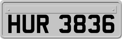 HUR3836