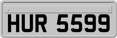 HUR5599