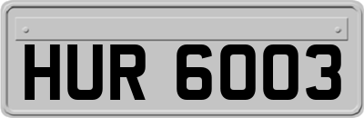 HUR6003